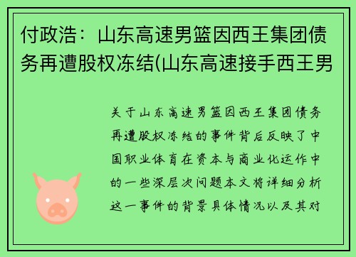 付政浩：山东高速男篮因西王集团债务再遭股权冻结(山东高速接手西王男篮)