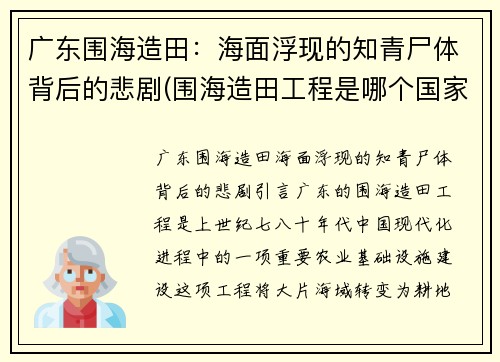 广东围海造田：海面浮现的知青尸体背后的悲剧(围海造田工程是哪个国家)