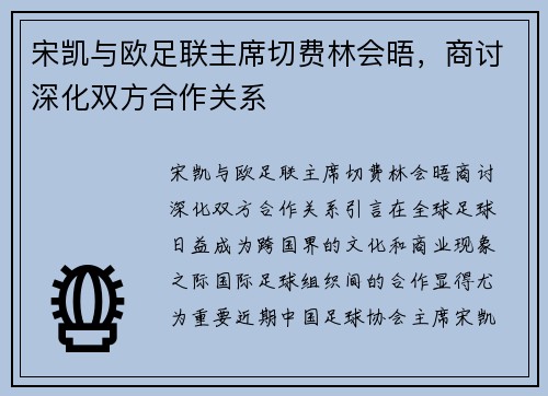 宋凯与欧足联主席切费林会晤，商讨深化双方合作关系